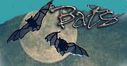 Bats-Moon