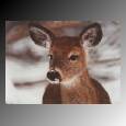 Deer_eyes