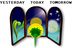 Dandelion in 3 piece mirror representing the past, present and future